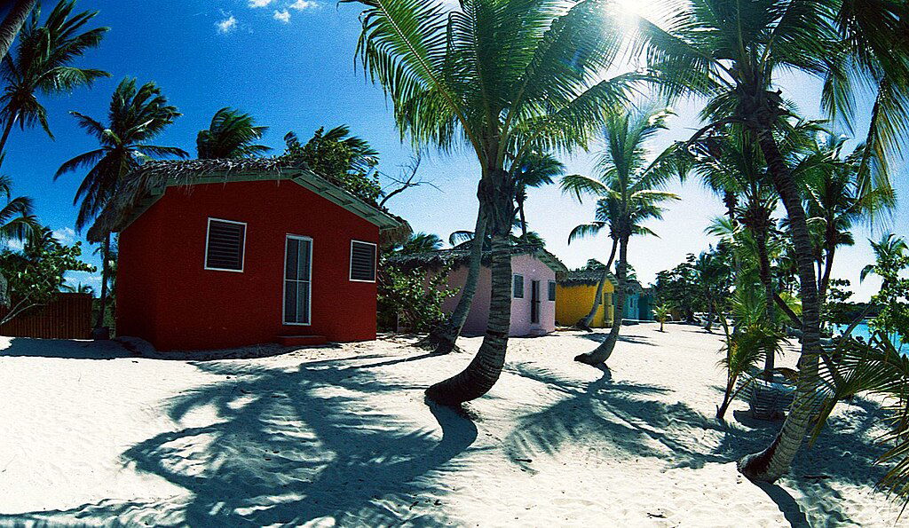 Caribbean American Women Are Valuable To Corporate America Now, More Than Ever